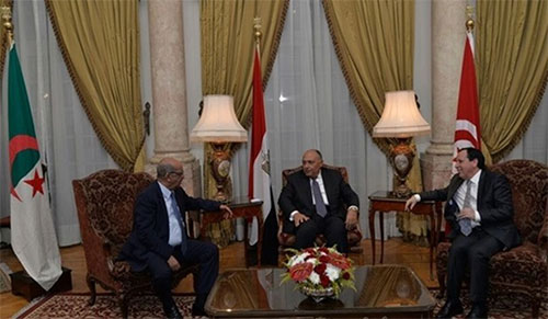 Egipto, Túnez y Argelia, cooperación en la lucha antiterrorista